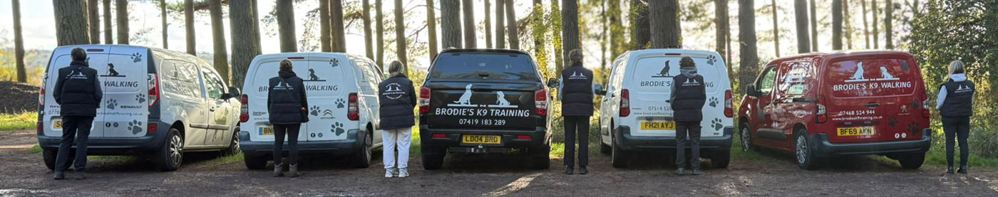 Brodie's K9 Training Dog Walking Vans