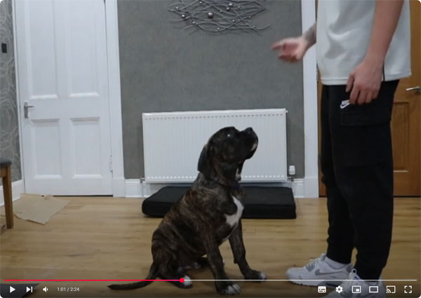 Still taken fron the Sit Command video